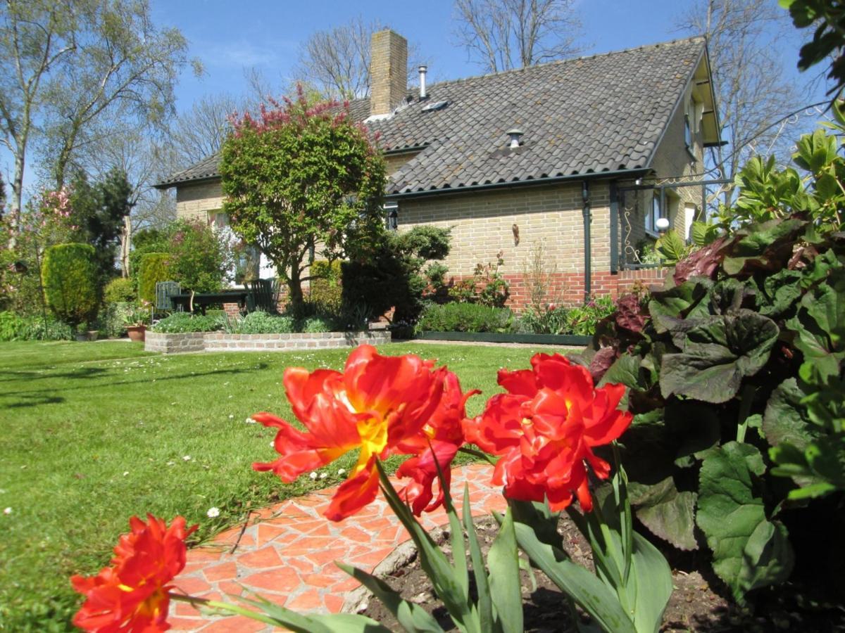 B&B Elbahof, Goed En Goedkoop! Hem Exterior foto
