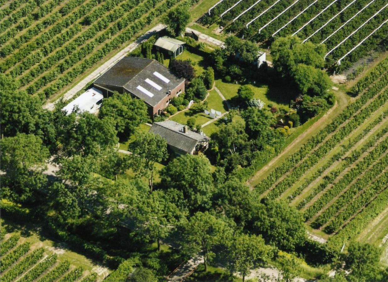 B&B Elbahof, Goed En Goedkoop! Hem Exterior foto
