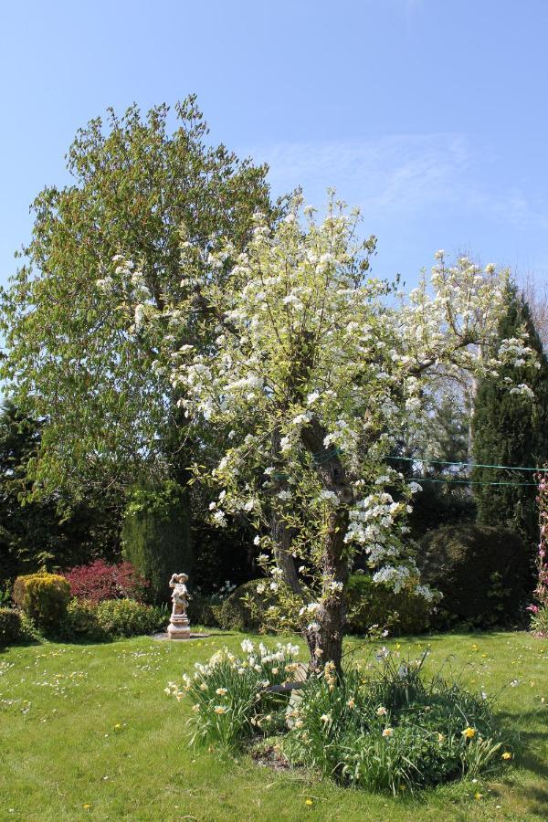 B&B Elbahof, Goed En Goedkoop! Hem Exterior foto