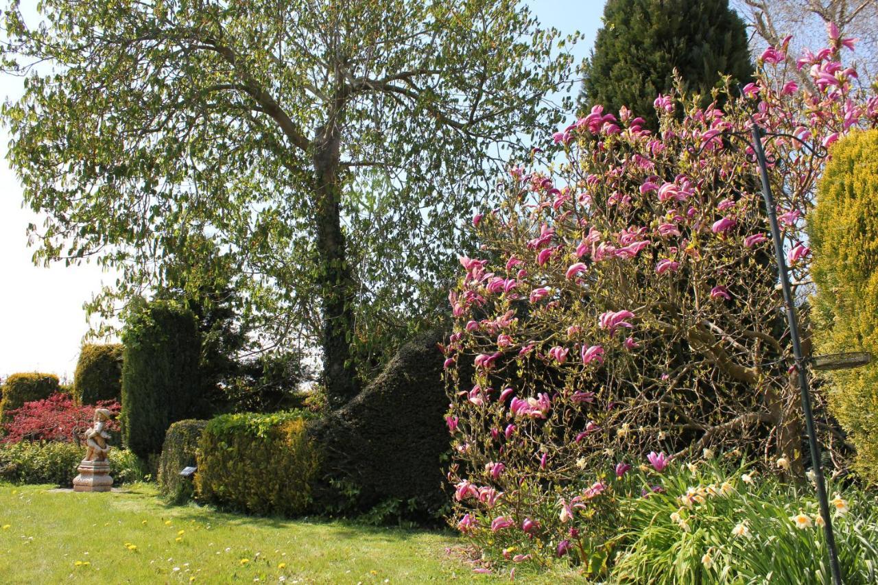 B&B Elbahof, Goed En Goedkoop! Hem Exterior foto