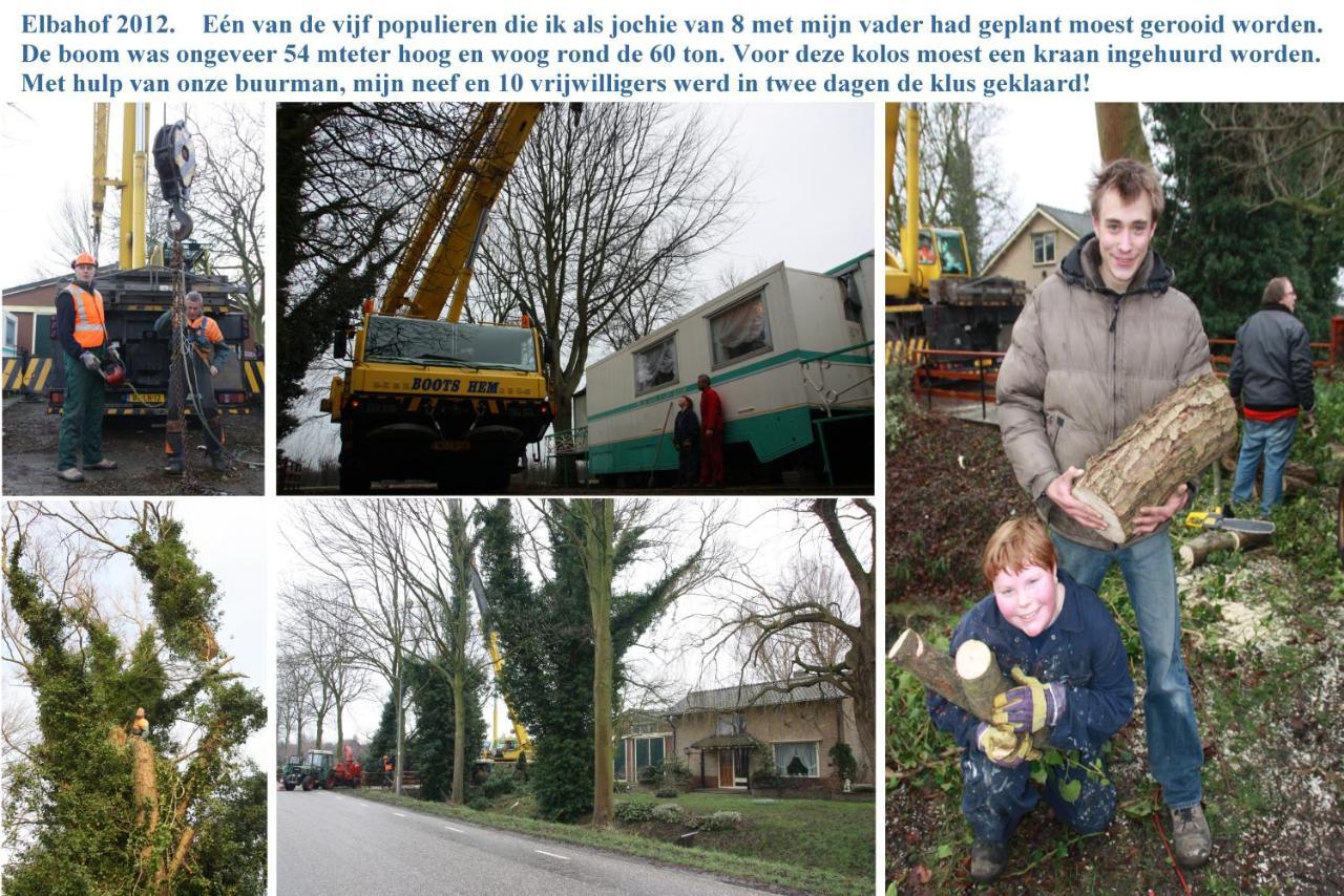 B&B Elbahof, Goed En Goedkoop! Hem Exterior foto